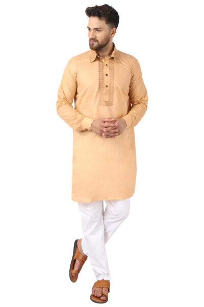 Alishan kurta