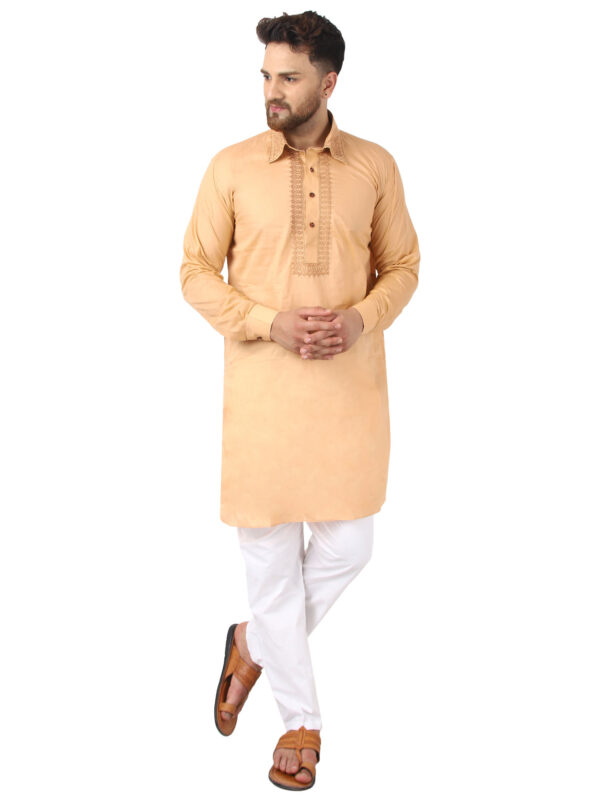 Alishan kurta